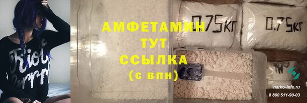 ГАЛЛЮЦИНОГЕННЫЕ ГРИБЫ Аркадак
