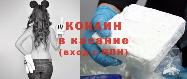 ГАЛЛЮЦИНОГЕННЫЕ ГРИБЫ Аркадак
