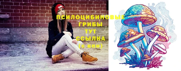 ГАЛЛЮЦИНОГЕННЫЕ ГРИБЫ Аркадак