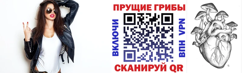 Псилоцибиновые грибы Psilocybine cubensis  Усолье-Сибирское 